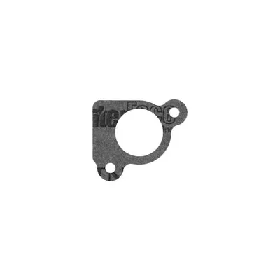 Briggs & Stratton Intake Gasket (794306)