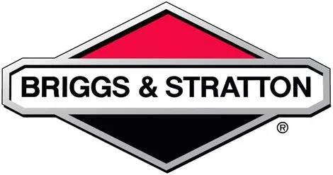Briggs & Stratton Internal Retaining Ring (7091154YP)